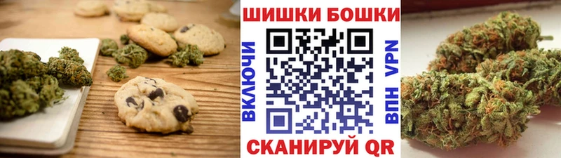купить наркотики цена  Гатчина  Cannafood конопля 