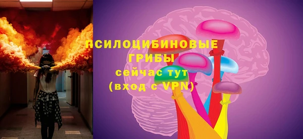 прущие грибы Баксан