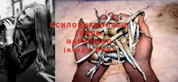 Альфа ПВП Балахна